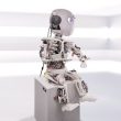 Robot Roboy
